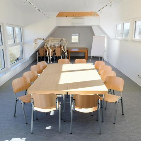 Equiliber Reitkunstzentrum Burgenland Wulkaprodersdorf Ngoại thất bức ảnh
